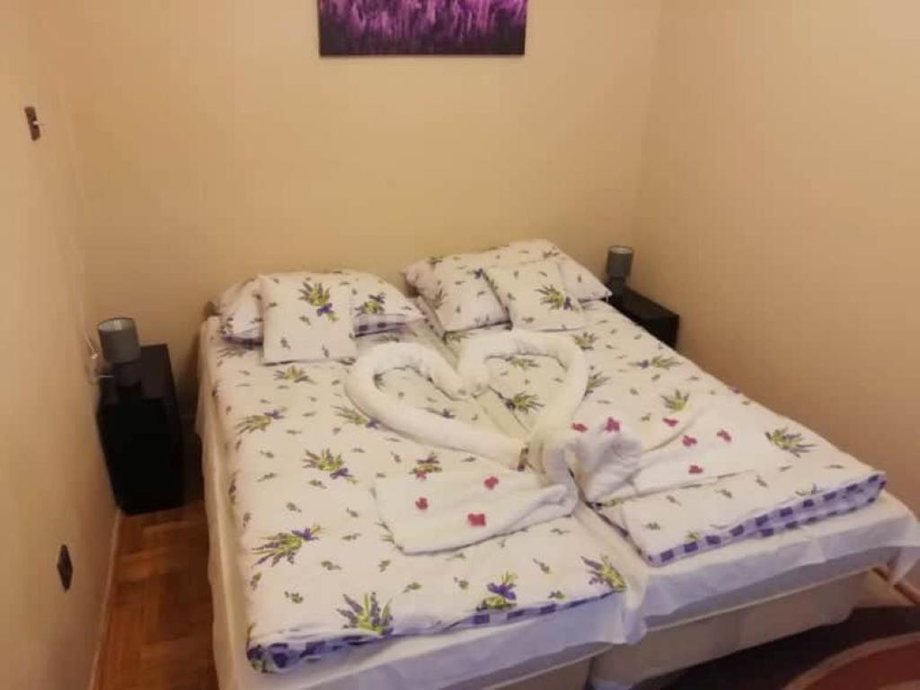 Centrum Panzio Debrecen Ngoại thất bức ảnh